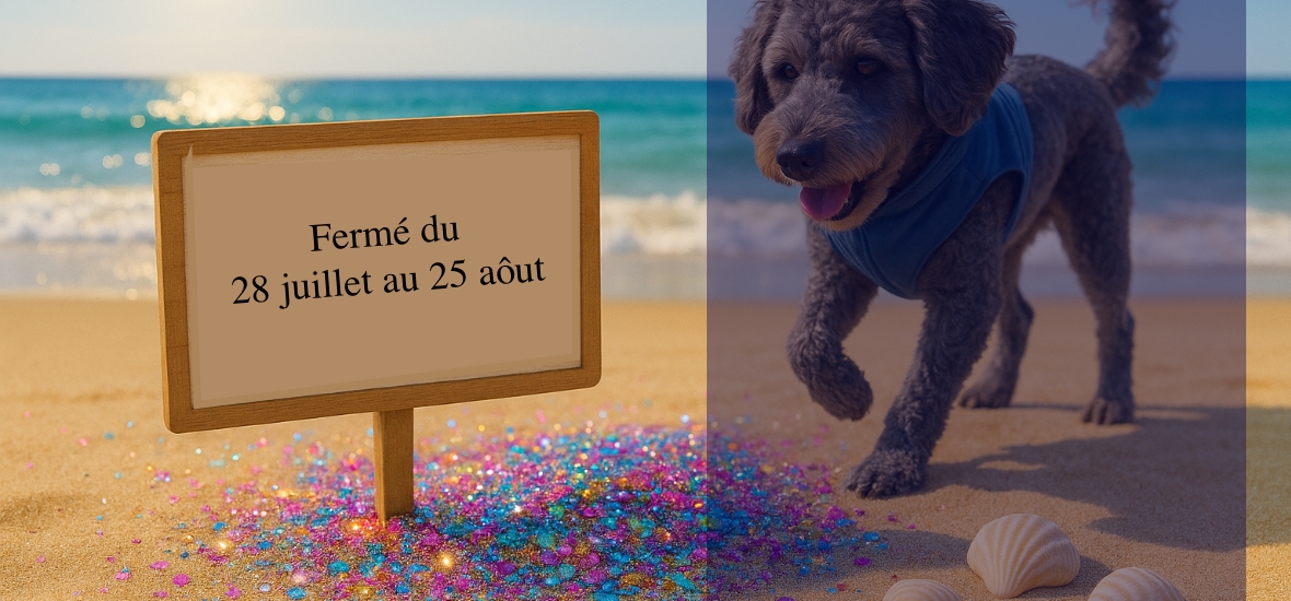 paillettes